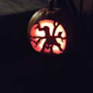 Meet your Posher, Rex